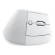 LOGITECH Lift for Mac Vertical mouse ergonomic optical 6 buttons wireless Bluetooth Bolt USB receiver off-white