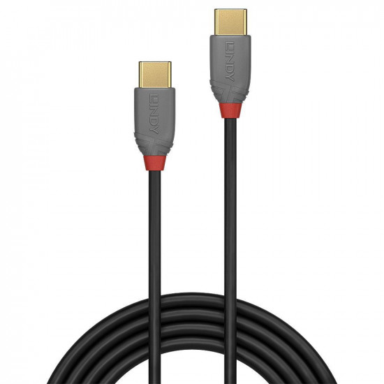 CABLE USB2 TYPE C 2M/ANTHRA 36872 LINDY