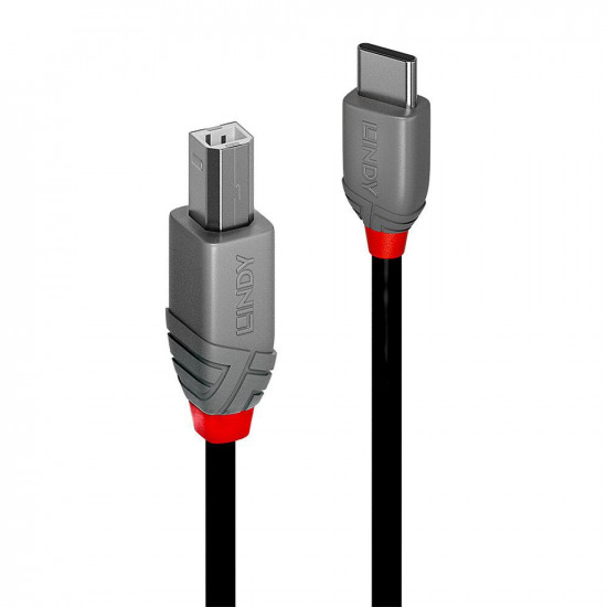 CABLE USB2 C-B 1M/ANTHRA 36941 LINDY