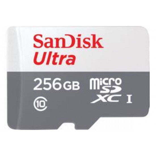 MEMORY MICRO SDXC 256GB UHS-I/SDSQUNR-256G-GN6TA SANDISK