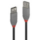 CABLE USB2 TYPE A 2M/ANTHRA 36703 LINDY