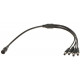 POWER SPLITTER 12V/WWG-5.5/4 GENWAY