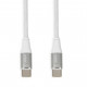 iBOX IKUTC USB-C cable 60W 1m White