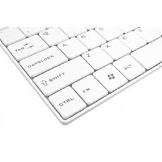 Esperanza EK122W keyboard RF Wireless QWERTY White