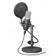 MICROPHONE GXT 252 EMITA/21753 TRUST