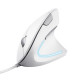 MOUSE USB OPTICAL VERTO/ERGONOMIC WHITE 25133 TRUST