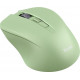 Trust Mydo Silent mouse Ambidextrous RF Wireless Optical 1800 DPI