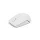 Lenovo 300 WIRELESS ?GREY mouse Ambidextrous RF Wireless Optical 1000 DPI