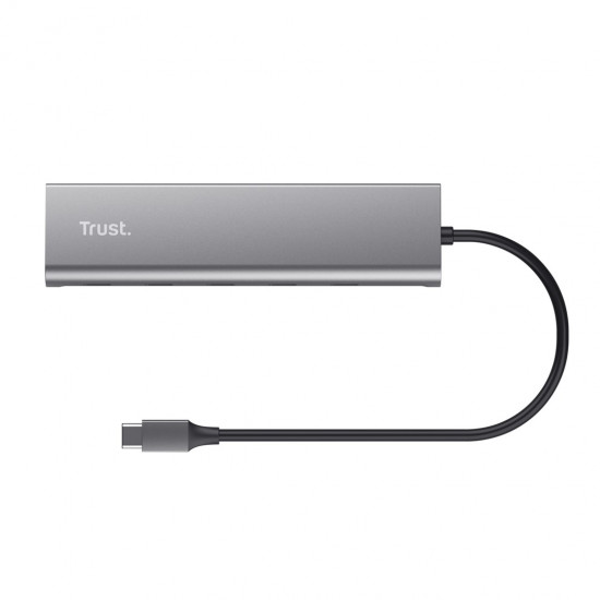 Trust Halyx USB 3.2 Gen 1 (3.1 Gen 1) Type-C Silver