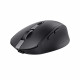 Trust Ozaa mouse Right-hand RF Wireless + Bluetooth Optical 3200 DPI