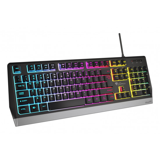 GENESIS Rhod 300 RGB keyboard Gaming USB QWERTY English Black