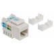 Intellinet Keystone Jack, Cat5e, UTP, Punch-down, White