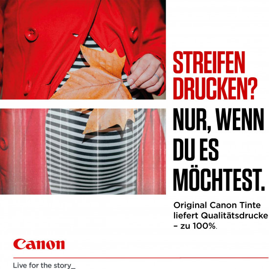 TIN Canon Tinte PGI-580XL 2024C001 Pigment-Schwarz bis zu 400 Seiten gem ISO/IEC 24711