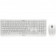 Cherry DW3000 Kombi Wireless Desktop white - Keyboard layout might be German