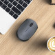 MOUSE USB OPTICAL WRL M170/GREY 910-004642 LOGITECH