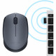 MOUSE USB OPTICAL WRL M170/GREY 910-004642 LOGITECH