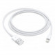 Apple Lightning - USB Kabel 1M Retail