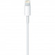 Apple Lightning - USB Kabel 1M Retail