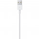 Apple Lightning - USB Kabel 1M Retail