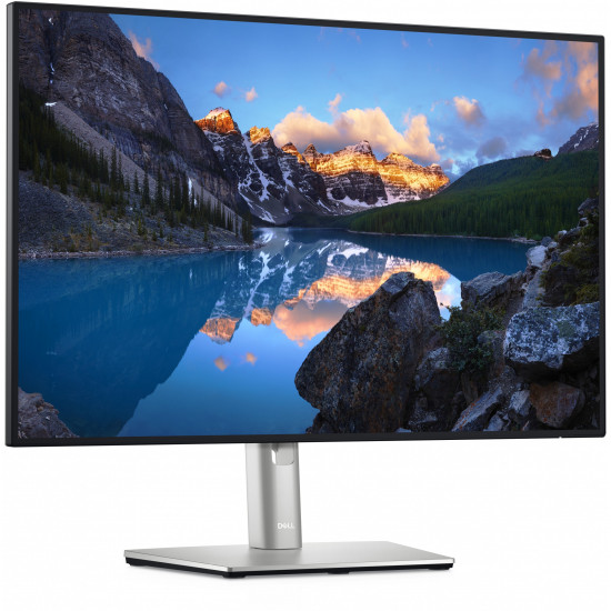 61,13cm/24'' (1920x1200) Dell UltraSharp U2421E 210-AXMB 16:10 5ms HDMI 2xDisplayPort USB-C VESA Pivot WUXGA Silver