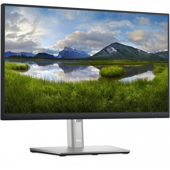 54,61cm/21,5'' (1920x1080) Dell-P2222H 16:9 5ms IPS DisplayPort VGA HDMI 4xUSB 3.2 VESA Pivot Full HD Black/Silver