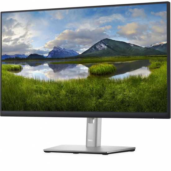 60,45cm/23,8'' (1920x1080) DELL-P2422H 16:9 5ms IPS DisplayPort VGA HDMI 4xUSB 3.2 VESA Lift Full HD Black/Silver