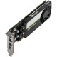 Quadro T1000 4GB PNY Low Profile (Retail)