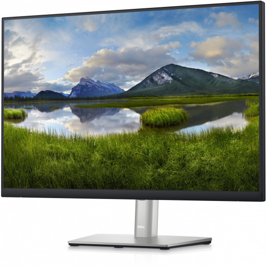 60,96cm/24'' (1920x1200) Dell-P2423 16:10 8ms IPS HDMI DVI DisplayPort VGA USB-Hub VESA Pivot WUXGA Black/Silver