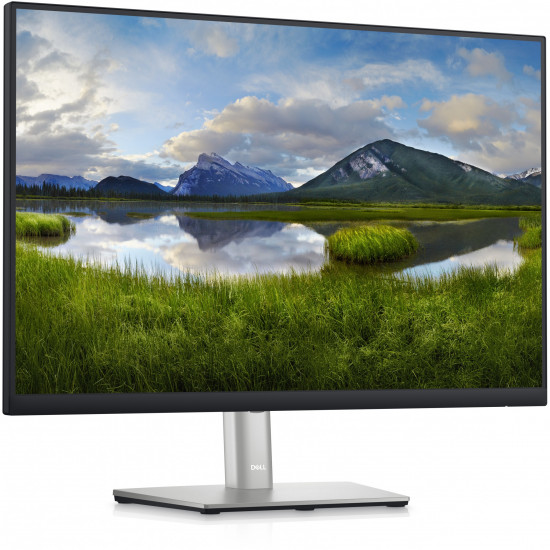 60,96cm/24'' (1920x1200) Dell-P2423 16:10 8ms IPS HDMI DVI DisplayPort VGA USB-Hub VESA Pivot WUXGA Black/Silver