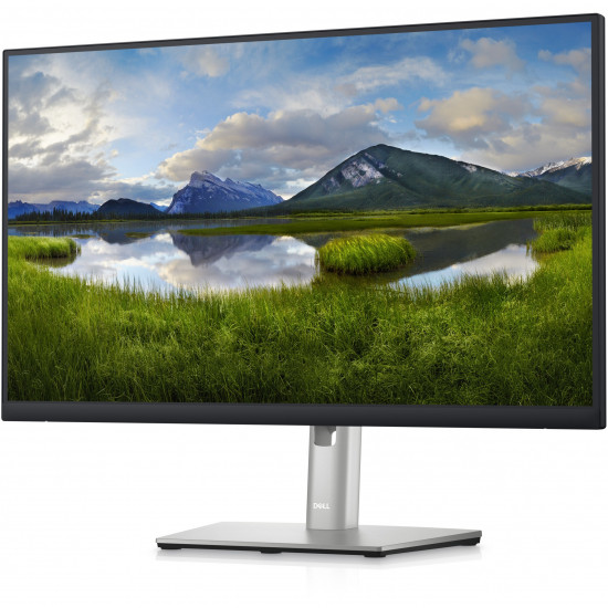 60,45cm/23,8'' (2560x1440) DELL-P2423D 16:9 8ms IPS DisplayPort HDMI USB VESA Pivot Black/Silver