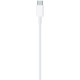 Apple USB-C auf Lightning Kabel 2M MQGH2ZM/A Retail