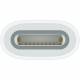 Apple USB-C auf Apple Pencil Adapter *NEW*