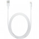 Apple Lightning - USB Kabel 2M Retail