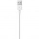 Apple Lightning - USB Kabel 2M Retail