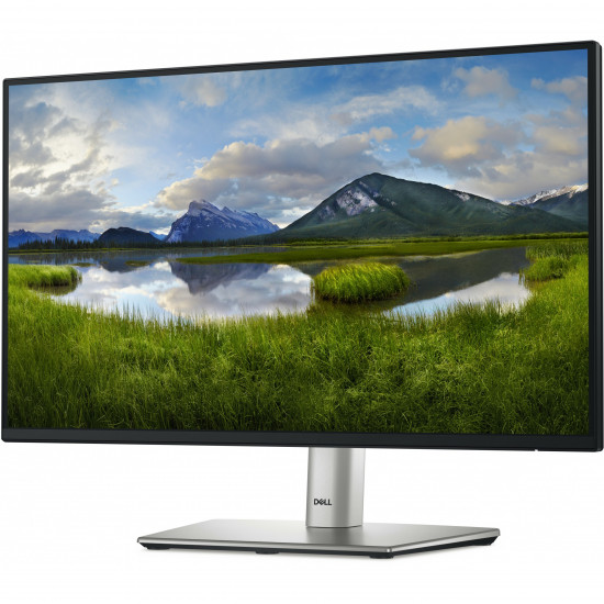 54,61cm/21,5inch (1920x1080) Dell P2225H 16:9 FHD IPS 5ms 100Hz HDMI DP VGA USB-C Black/Silver