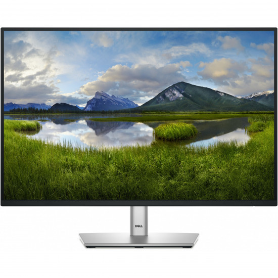 61cm/24inch (1920x1200) Dell P2425 16:10 FHD IPS 5ms 100Hz HDMI DP VGA USB-C Black/Silver