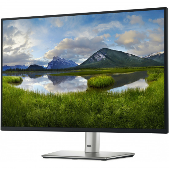 61cm/24inch (1920x1200) Dell P2425 16:10 FHD IPS 5ms 100Hz HDMI DP VGA USB-C Black/Silver