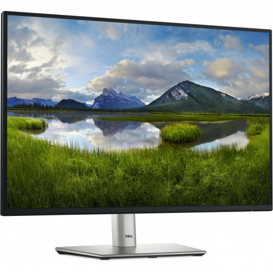 61cm/24inch (1920x1200) Dell P2425 16:10 FHD IPS 5ms 100Hz HDMI DP VGA USB-C Black/Silver