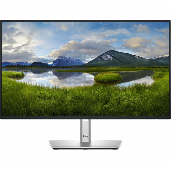 60,47cm/23,8inch (1920x1080) Dell P2425H 16:9 FHD IPS 5ms 100Hz HDMI DP VGA USB-C Black/Silver