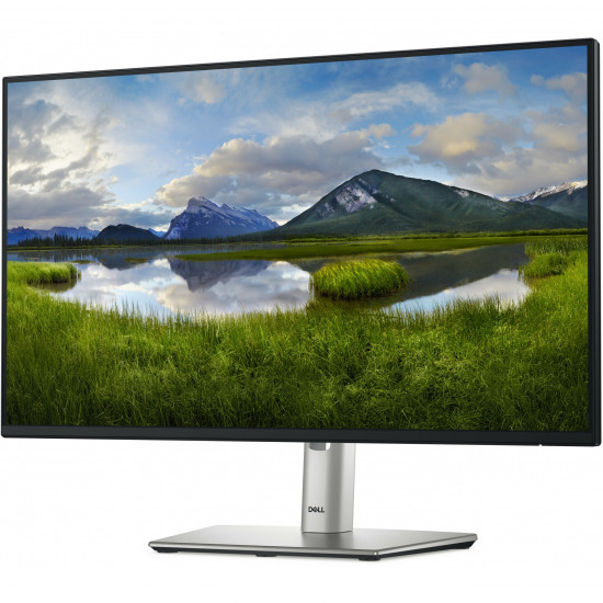 60,47cm/23,8inch (1920x1080) Dell P2425H 16:9 FHD IPS 5ms 100Hz HDMI DP VGA USB-C Black/Silver