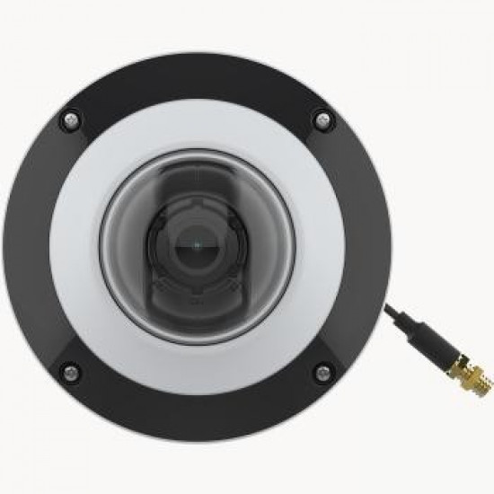 Axis Netzwerkkamera Covert/Pinhole F4105-LRE Mini Dome Sensor