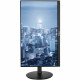 Targus DM4240SEUZ Secondary Monitor 24inch with Display Port black