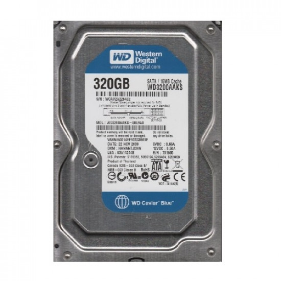 320GB Western Digital 3.5