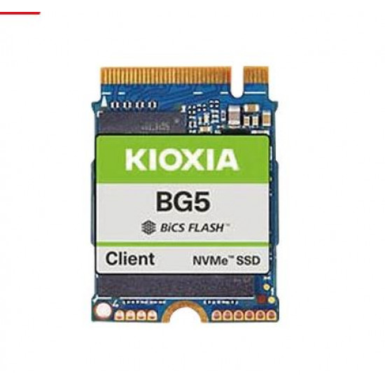 256GB Kioxia, PCIe, NVMe, M.2 2230, Gen4X4, SSD